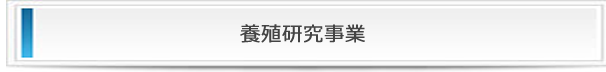 株式会社大幸建設の養殖研究事業