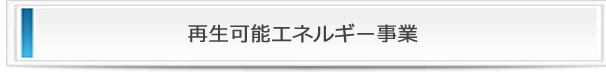 株式会社大幸建設の再生可能エネルギー